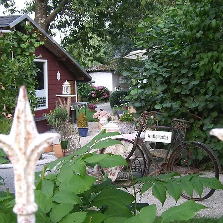 Romantikzimmer Im Antiquariat * Sonnschied